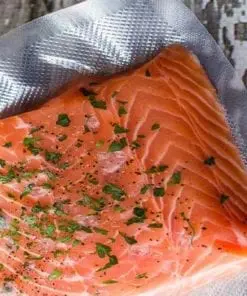 Salmon