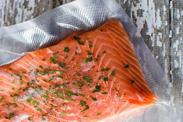 Salmon