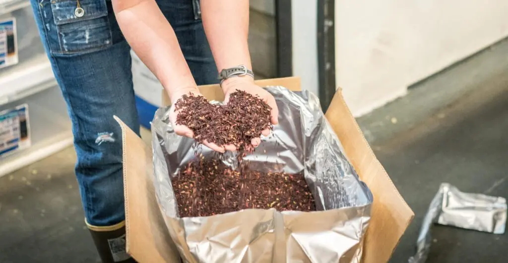 building food storage