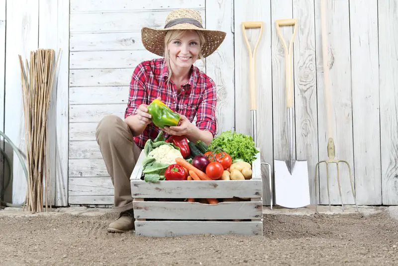 smiling woman in vegetable garden with wooden box full of vegetables on white wall background with work tools