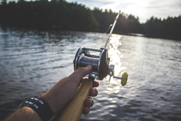 A person holding a baitcasting fishing rod over a sunlit lake, with the line cast toward the water and trees visible along the far shore.
